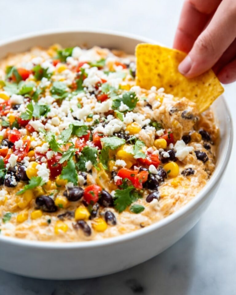 Black Bean Corn Mexican Fiesta Dip Recipe