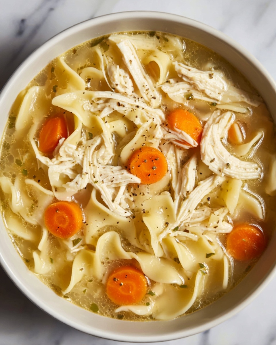 Hearty Chicken Noodle Soup in the Crock Pot Recipe - Recipe Image