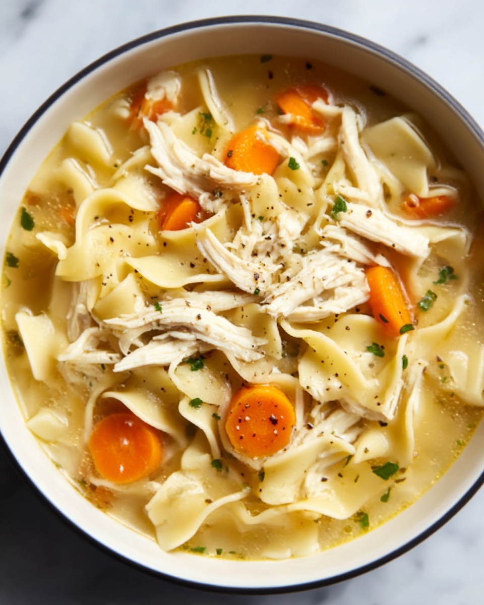Hearty Chicken Noodle Soup in the Crock Pot Recipe - Recipe Image