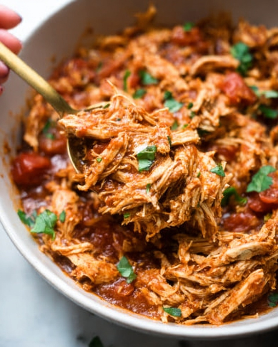 Mexican Chicken Crock Pot Recipe - Recipe Image