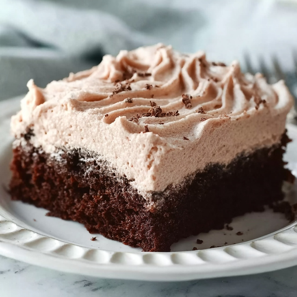 Skinny Chocolate Cake Recipe - Recipe Image
